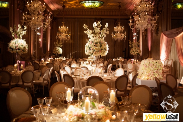 Scarlet Events