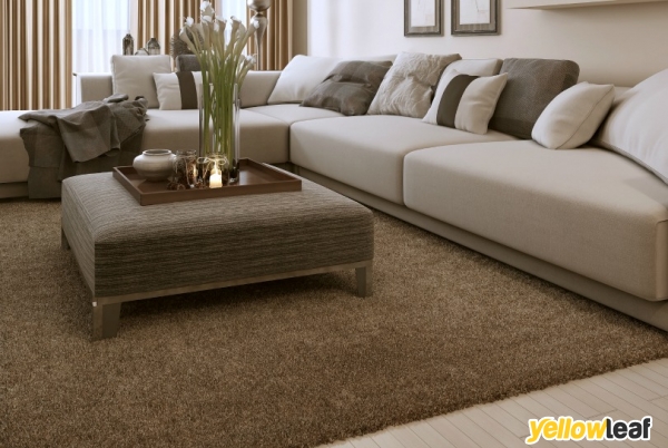 Deluxe Dry Carpet Cleaning