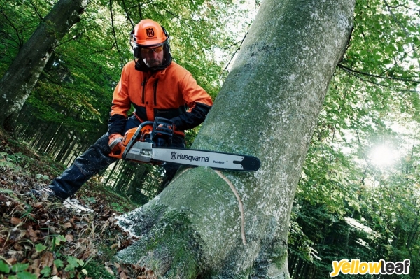 3 Counties Tree Surgery