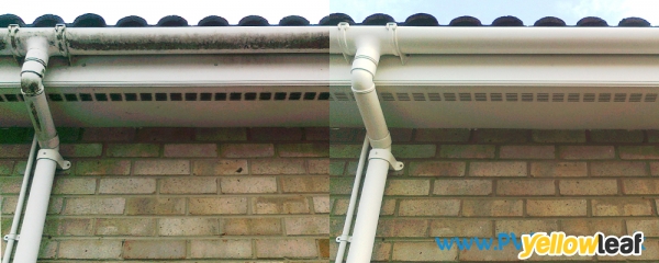 PVC & Patio Clean
