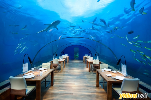 Luxury Holidays Direct