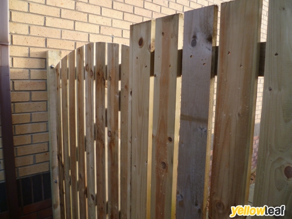 Belle Fencing