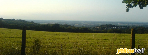 LandVision South East Ltd