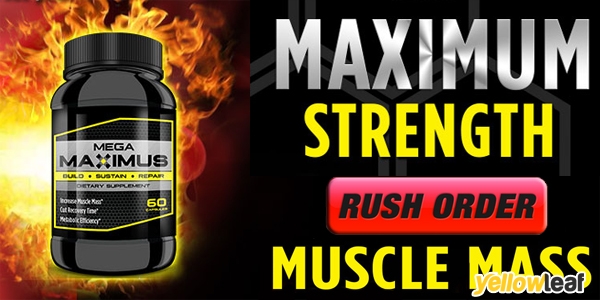 Mega Maximus Reviews