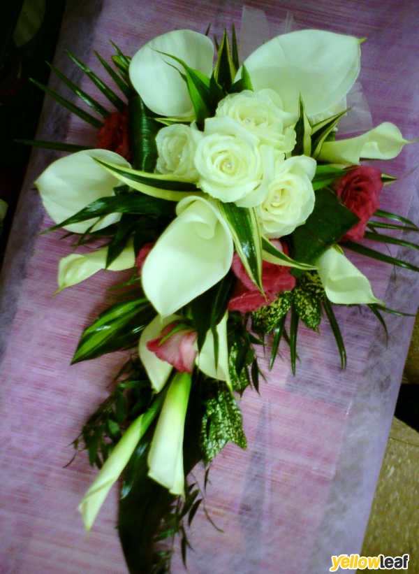 Prima Flora