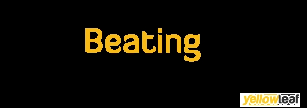 Beating Osteoarthritis