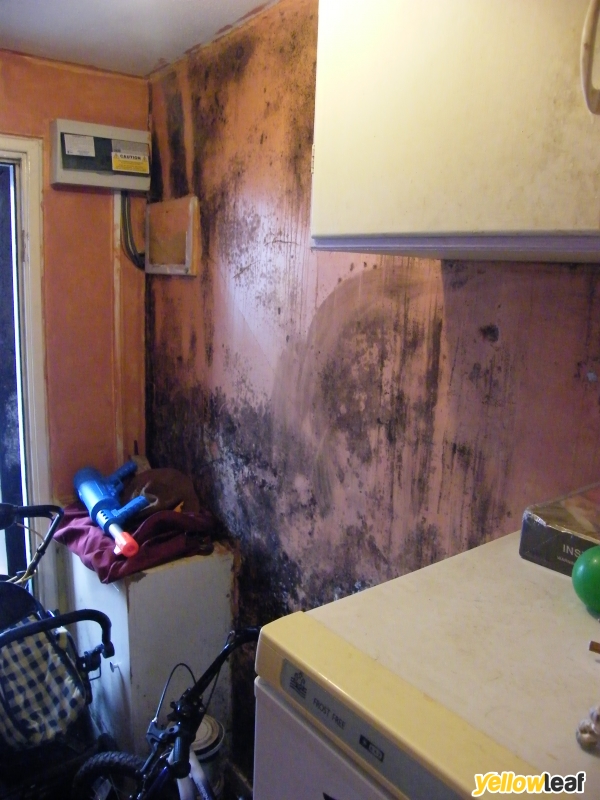 Mould Doctor Ltd