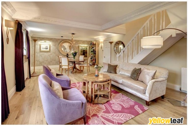 Chameleon Designs Interiors