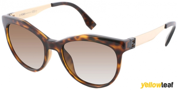 Perfect Glasses