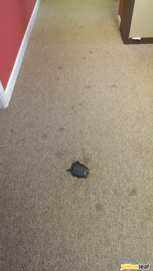 MW Carpet Care