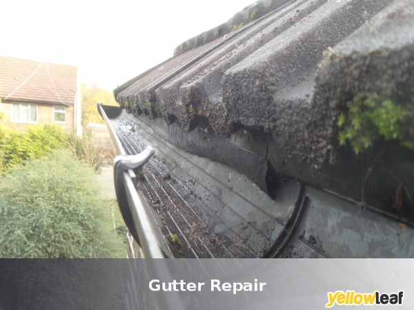 Gutter Cleanup