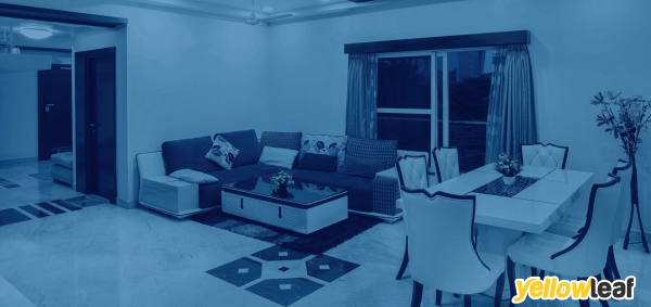 Pure Blue Cleaning