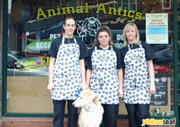 Animal Antics