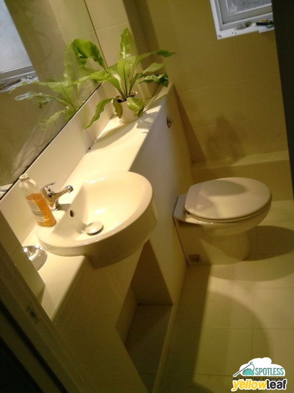Spotless Cleaners London