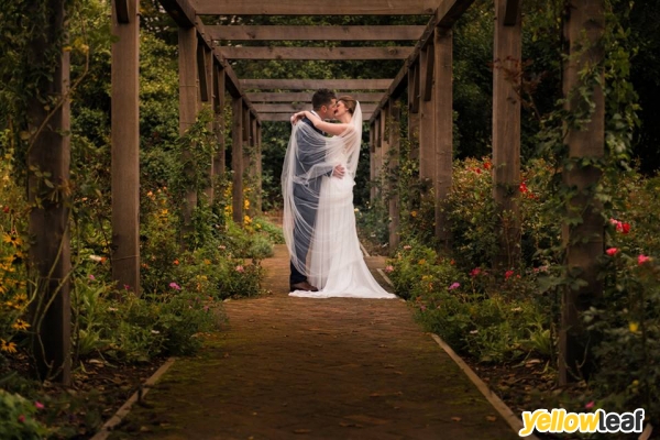 Fiona Elizabeth Photography