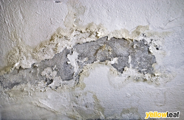 Brunel Preservation