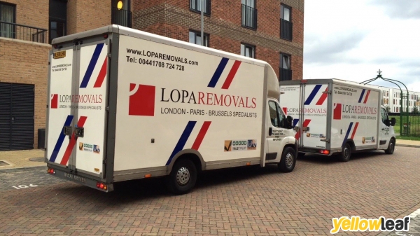 Lopa removals Ltd