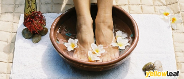 Aromatic Ambience