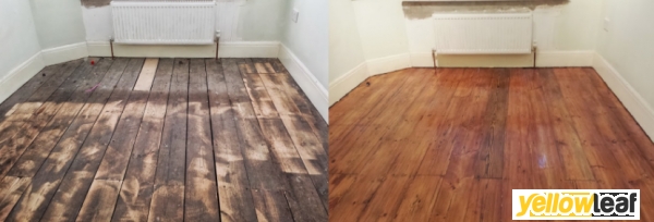 Alpha Floor Sanding