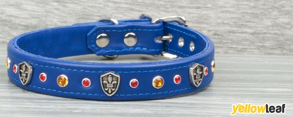 Petiquette Collars