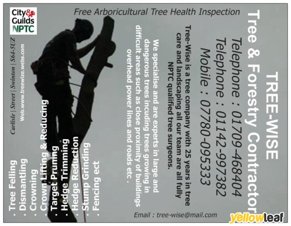 Tree Wise Tree & forestry contractors