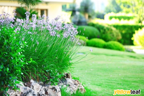 Sam Colbourn Gardening Landscaping