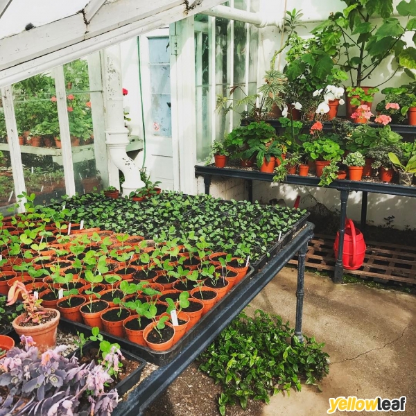 The Lady Gardener