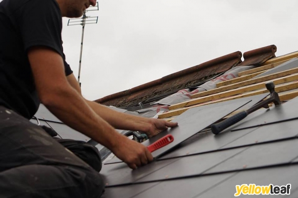 Alpha Roofing Services