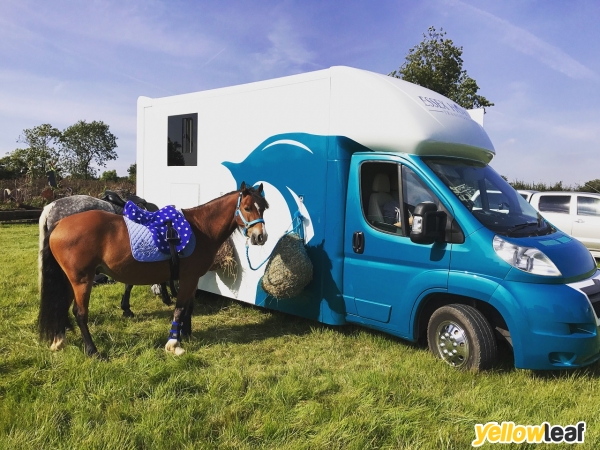Essex Horse Transport