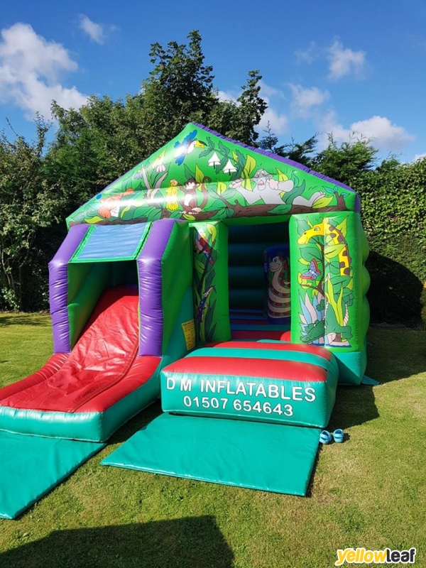 DM Inflatables & Party Services