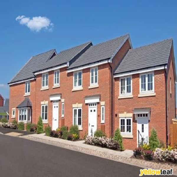 Cosey Homes
