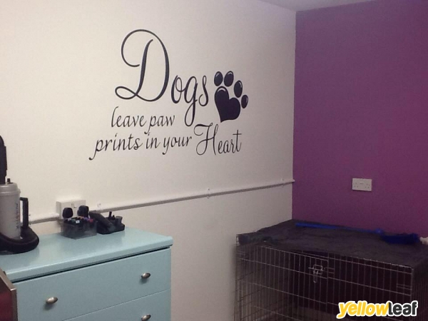 Bubbles Dog Grooming