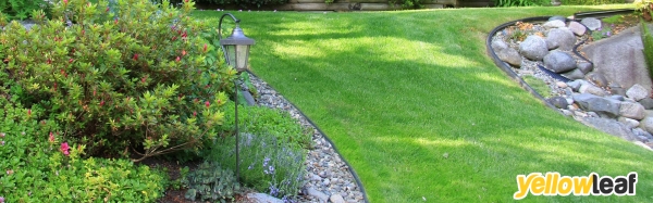 All Seasons Grass