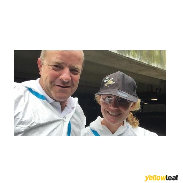 Countrywide Pest Control - Reading