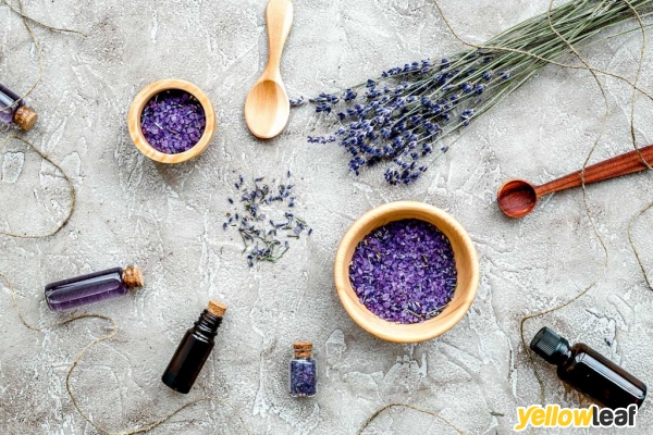 Essential Thyme