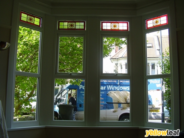 Polar Bear Windows