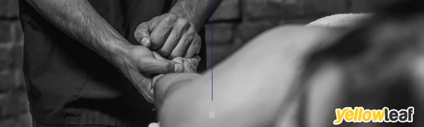Synergist Massage