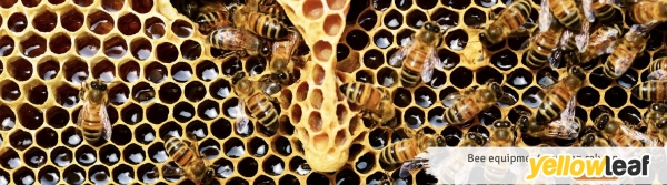 Beebox2U