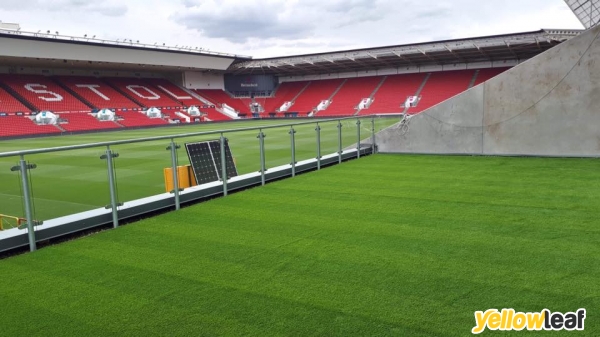 Gorilla Artificial Grass Ltd