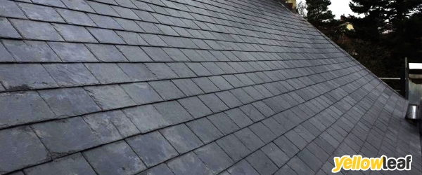 Falcus Roofing Ltd