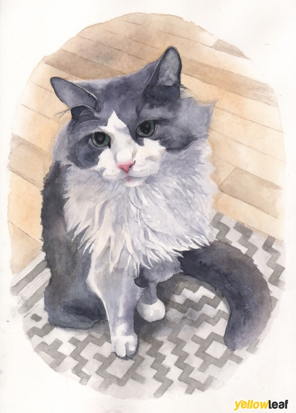 Pet Portraits