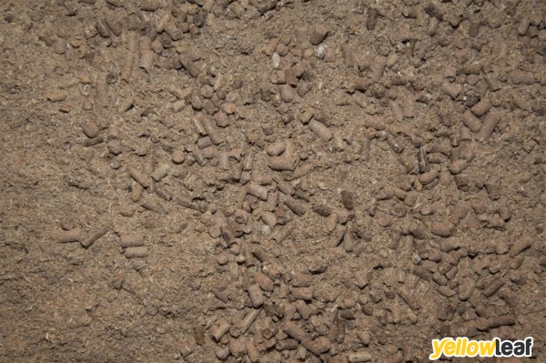Midland Feeds