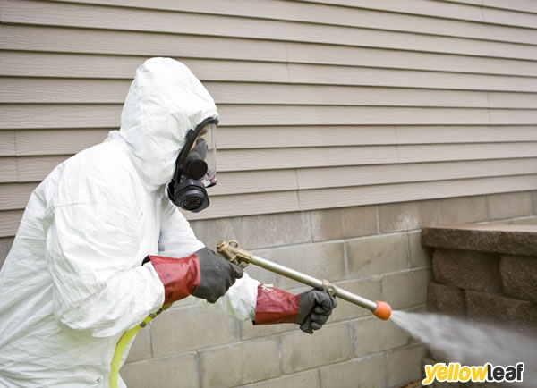 Pest Exterminators