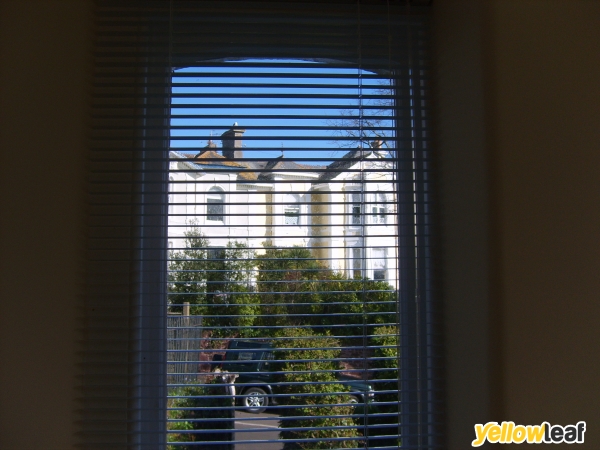 Dave Musgrove Blinds