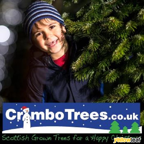 CrimboTrees