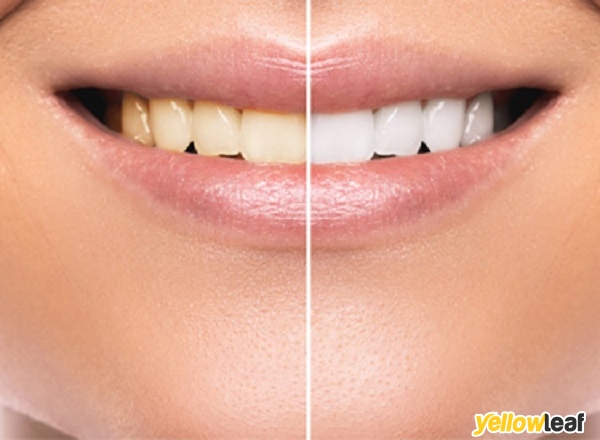 Alexandra Dental