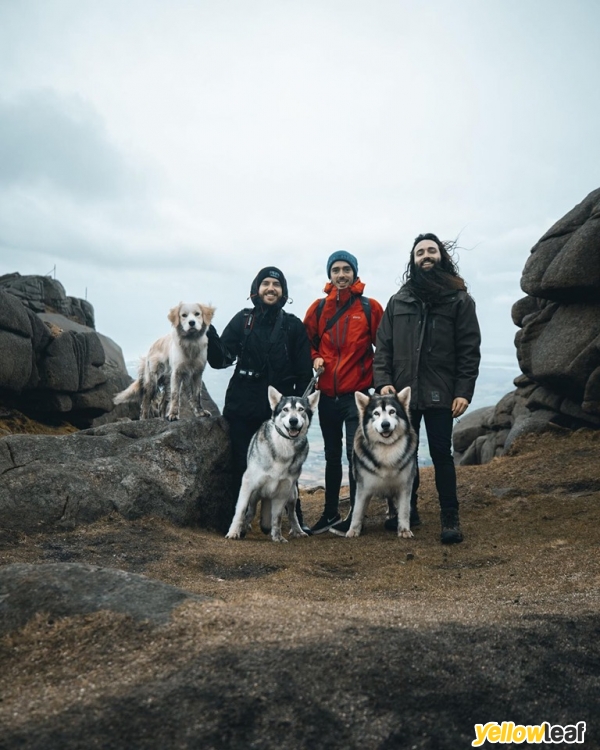 GOT Direwolves Tour