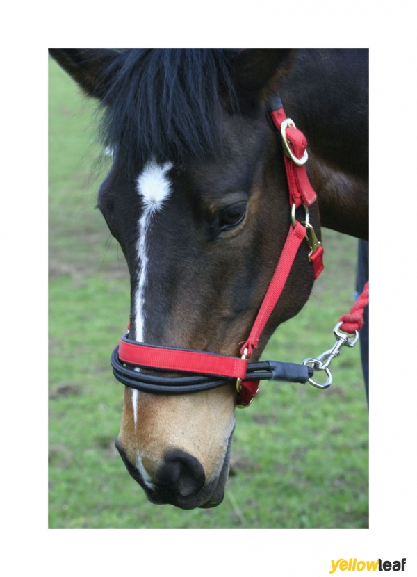 Church Equestrian