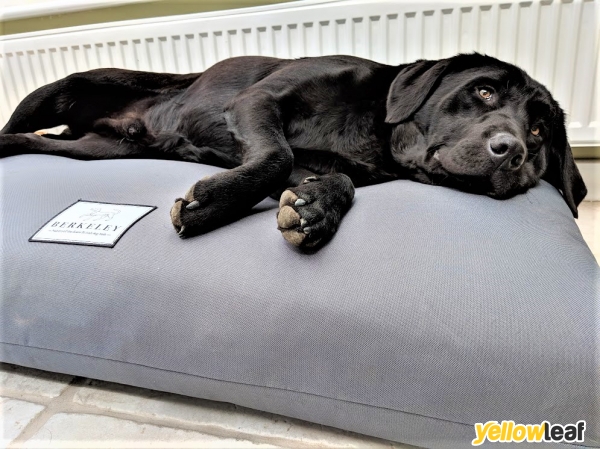 Berkeley Dog Beds Limited