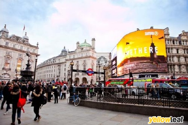 Black Taxi Tour London
